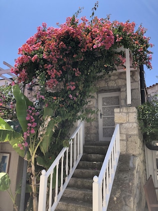 Gallery - Erendira Hotel - Special Class