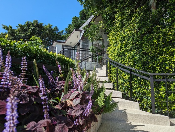 Gallery - Villa Moonshadow