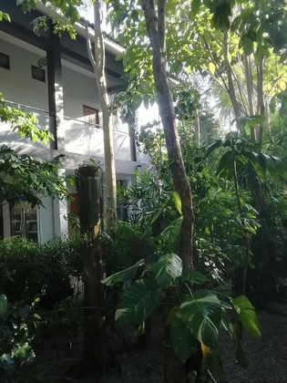 Gallery - The Theatre Villa