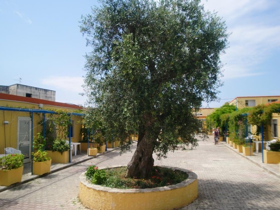 Gallery - Racar Hotel & Resort