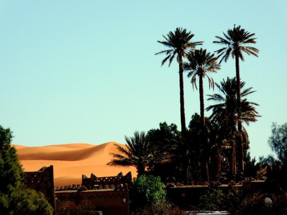Gallery - La Vallée Des Dunes