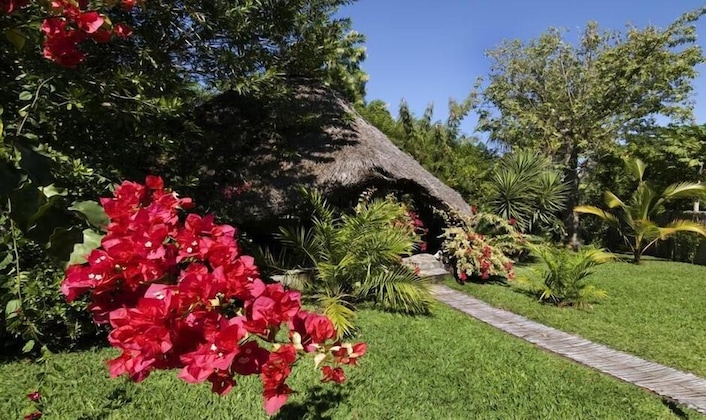 Gallery - Palmeiras Lodge
