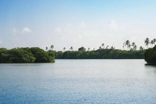 Gallery - Isla Tajín Beach & River Resort