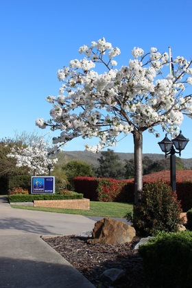 Gallery - Hume Country Motor Inn