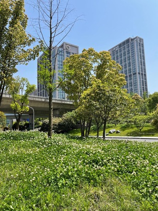 Gallery - Sheraton Grand Wuhan Hankou Hotel