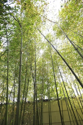Gallery - Chikuba Shinyotei