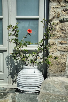 Gallery - Paola's Town Boutique Hotel