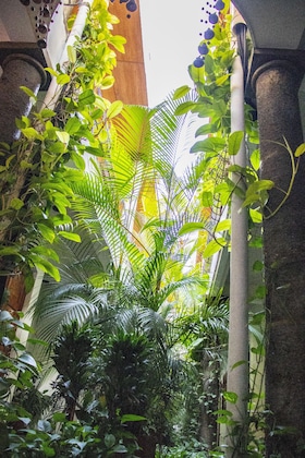 Gallery - Árbol De Fuego Eco-Hotel, A Green Experience In The City