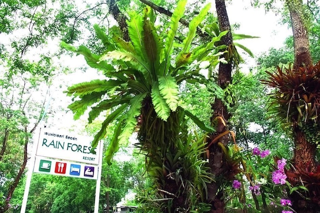 Gallery - Rainforest Resort Phitsanulok