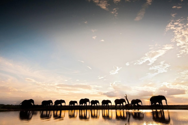 Gallery - Jabulani Safari