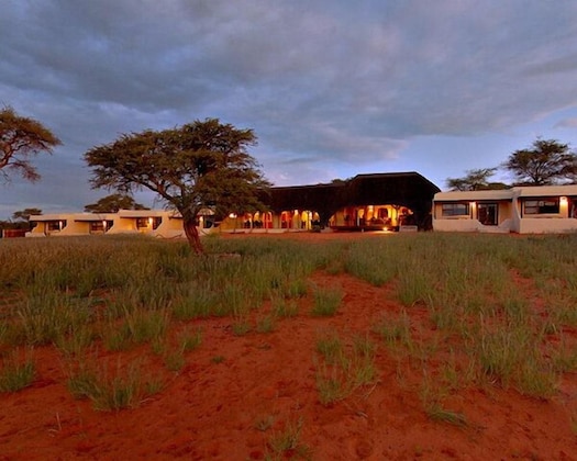 Gallery - Zebra Kalahari Lodge