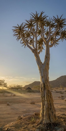Gallery - Solitaire Desert Farm