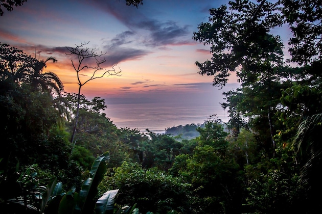 Gallery - Lapa Rios Lodge