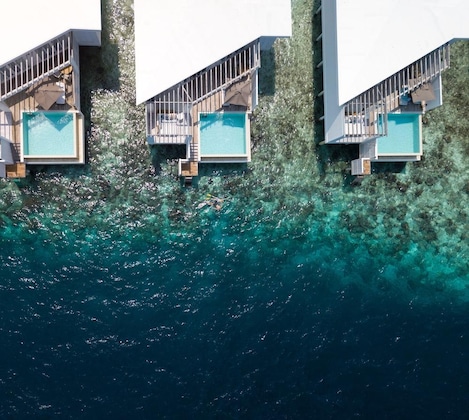 Gallery - Amilla Maldives
