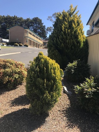 Gallery - Hideaway Motor Inn Armidale