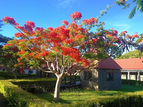 Gallery - Coralview Island Resort