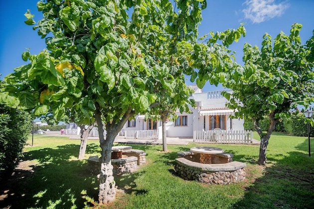 Gallery - Apartamentos Blue Beach Menorca