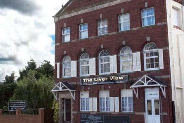 Gallery - The Liver View