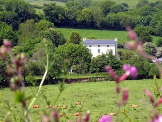 Gallery - Plantation House Hotel