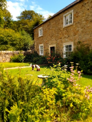 Gallery - Burnhopeside Hall