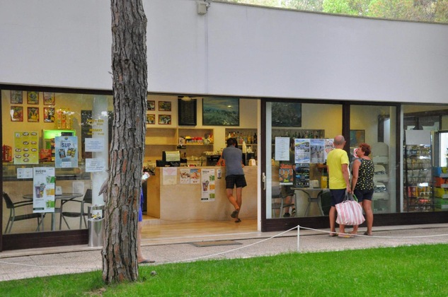 Gallery - Spinnaker