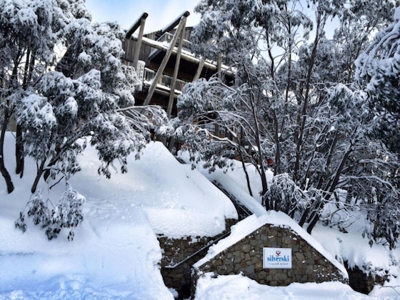 Gallery - Silverski