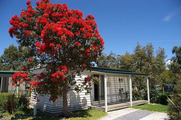 Gallery - Beauty Point Tourist Park