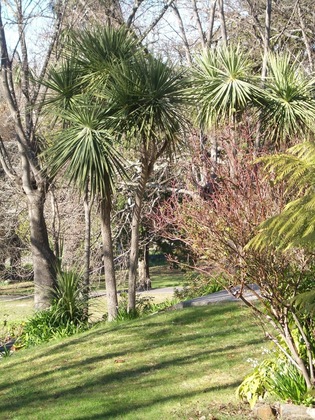Gallery - Lucinda B&B