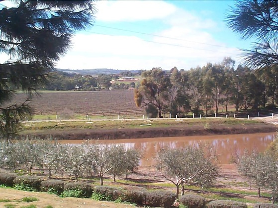 Gallery - Patly Hill Farm