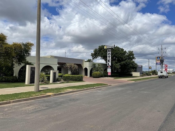 Gallery - Citrus Motel