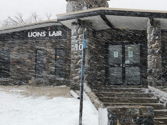 Gallery - The Lions Lair