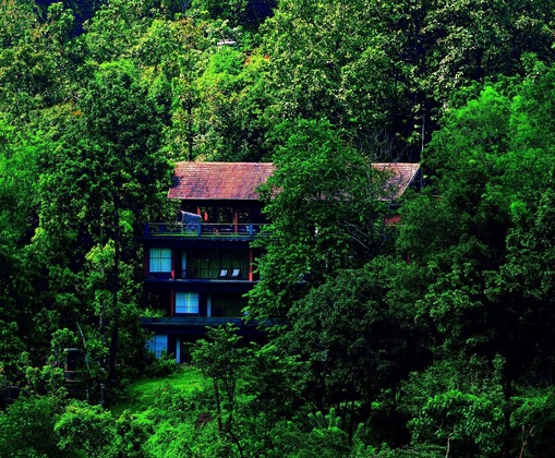 Gallery - Rainforest Boutique Resort