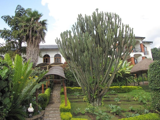 Gallery - Stipp Hotel Gisenyi