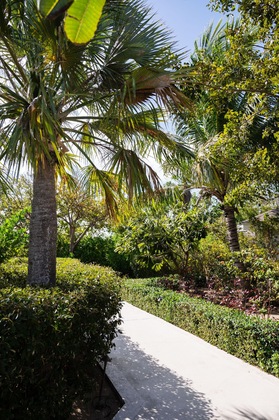Gallery - Pine Cay, Turks And Caicos