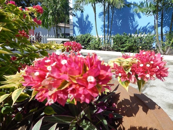 Gallery - Green Palm Boutique Hotel