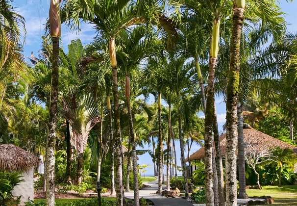 Gallery - Motu Beachfront Art Villas