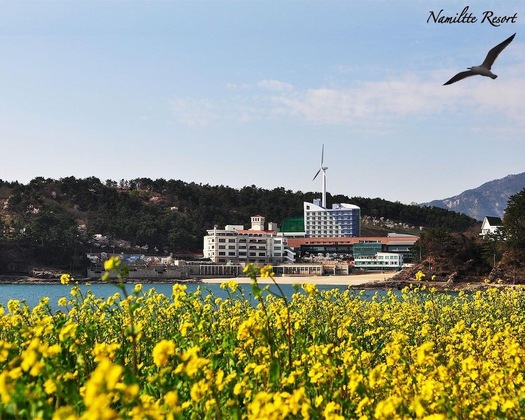 Gallery - Namiltte Resort