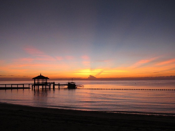 Gallery - Pulchra - Philippines