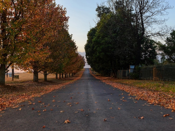 Gallery - Cayley Mountain Resort