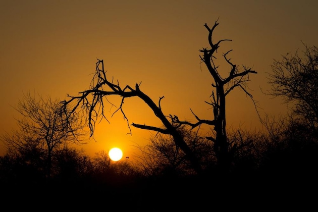 Gallery - Rhino Ridge Safari Lodge