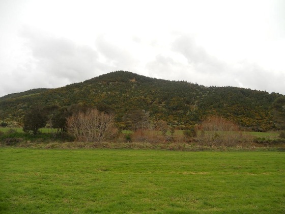 Gallery - Bay Of Islands Country Lodge Motel
