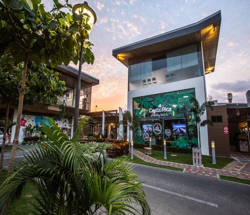 Gallery - Macaws Ocean Club