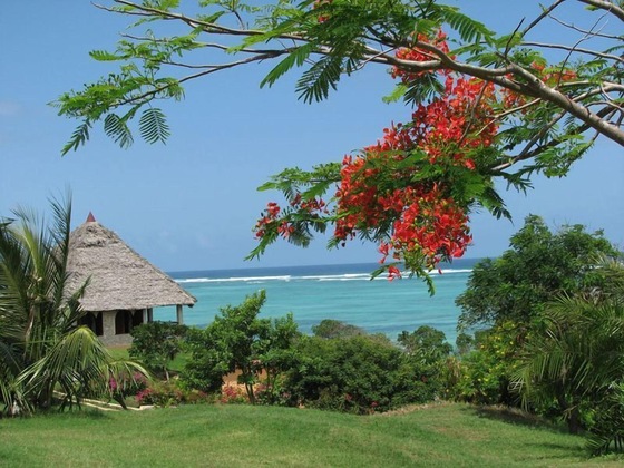 Gallery - Tijara Beach