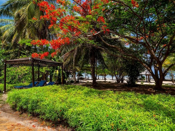 Gallery - Anna Of Zanzibar