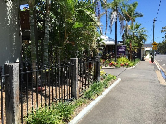 Gallery - Coconut Palms On The Bay