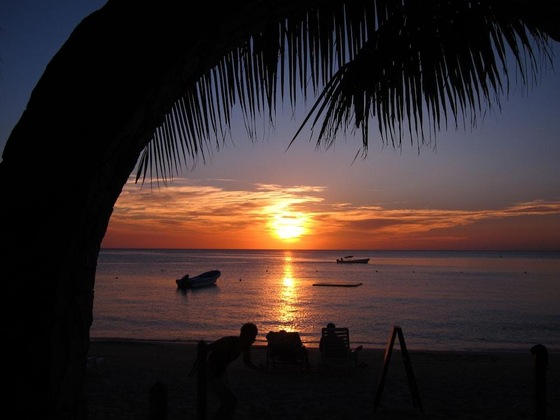 Gallery - Bananarama Dive & Beach Resort