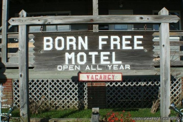 Gallery - Born Free Suites By The Sea