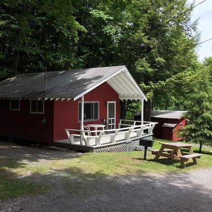 Gallery - Forest Hill Lodge & Cabins