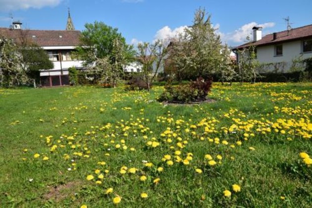 Gallery - Angerburg Blumenhotel