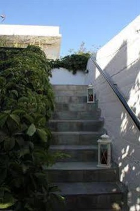 Gallery - Ansi Apartments